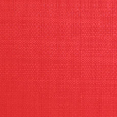 Plastové prostírání TORO 28,5x44cm červené