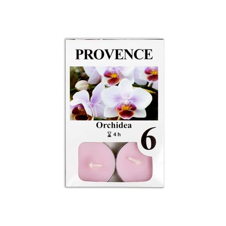 Levně Provence Čajová svíčka 6ks orchidea